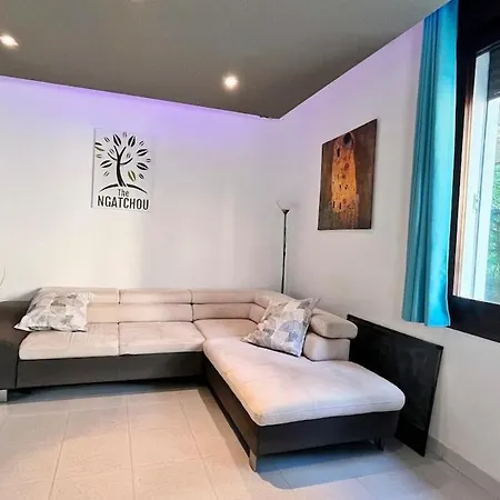 The Ngatchou * Venezia